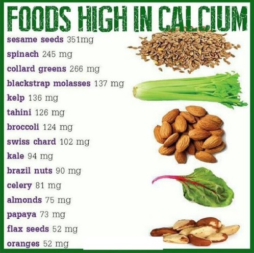 calcium foods