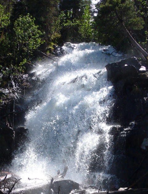 Fern Falls