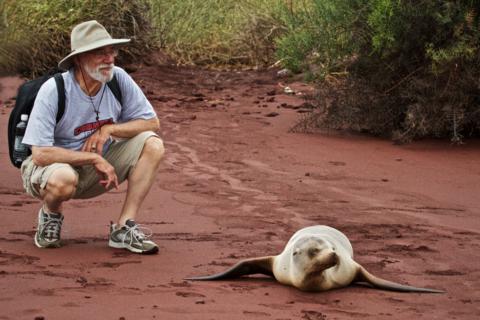 Jack Gets Up Close to a Galapagos Sea Lion (Zalophus californianus wollebacki) (Canon 7D with 100-400mm lens at 100mm, f/8, 1/750, ISO 1600)