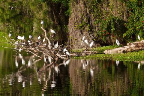 This Pond at the Causeway Attracted Both Birds and Us
