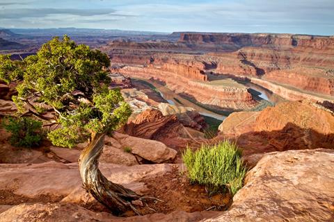 ​Looking Down to Dead Horse Point on the Colorado River​