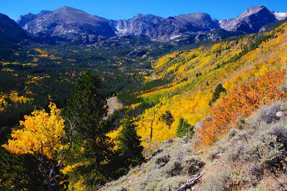 Some Fall Color in Colorado